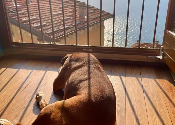 Bernhouse Feriehus Dorio