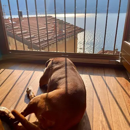 Bernhouse Casa vacanze Dorio