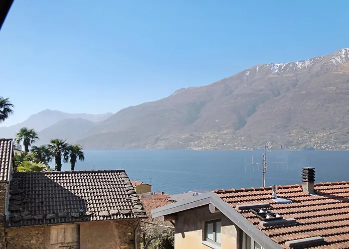 Bernhouse Dorio